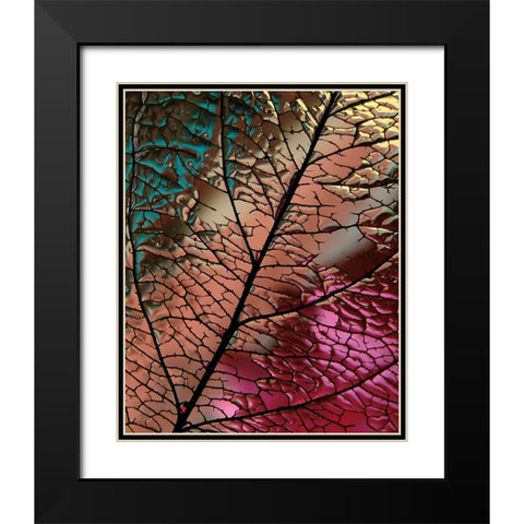 Glass Leaf Black Modern Wood Framed Art Print with Double Matting by Lesica, Ivan