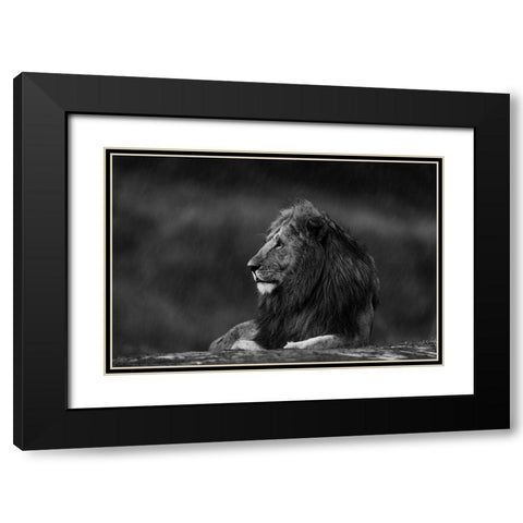 Rainy King Black Modern Wood Framed Art Print with Double Matting by Sobhi, Ahmed