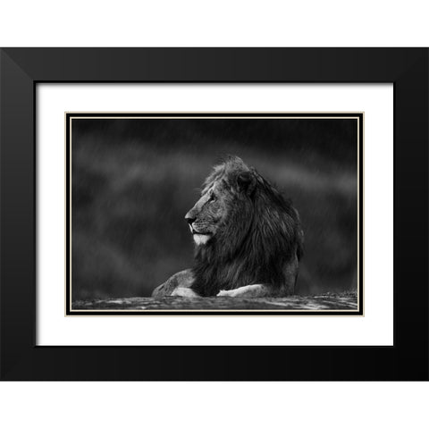 Rainy King Black Modern Wood Framed Art Print with Double Matting by Sobhi, Ahmed