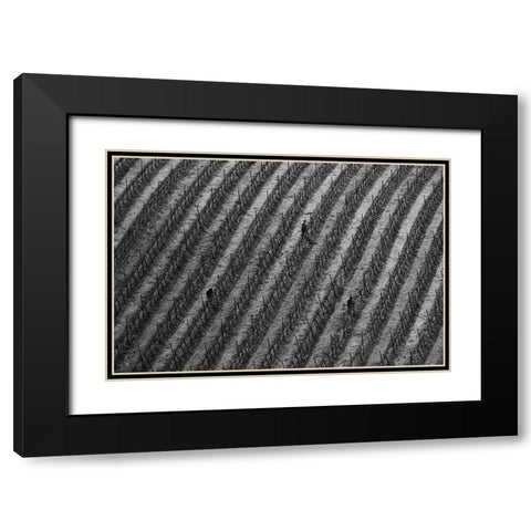 Vineyard Black Modern Wood Framed Art Print with Double Matting by Mao, Yun