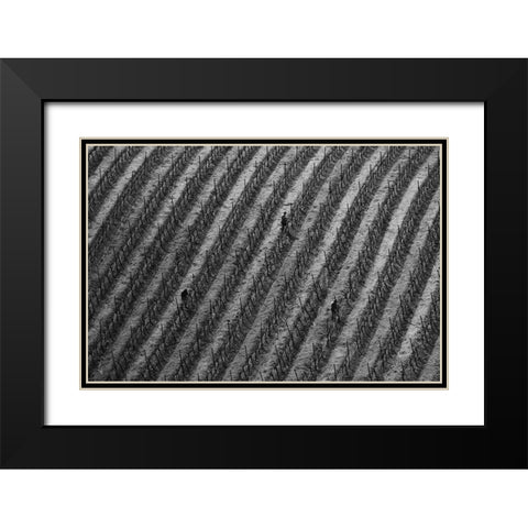 Vineyard Black Modern Wood Framed Art Print with Double Matting by Mao, Yun