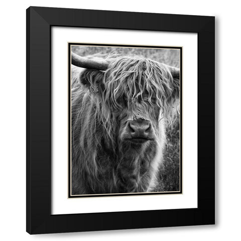 Highland cattle Black Modern Wood Framed Art Print with Double Matting by Gronkjar, Lotte