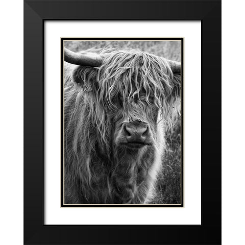 Highland cattle Black Modern Wood Framed Art Print with Double Matting by Gronkjar, Lotte