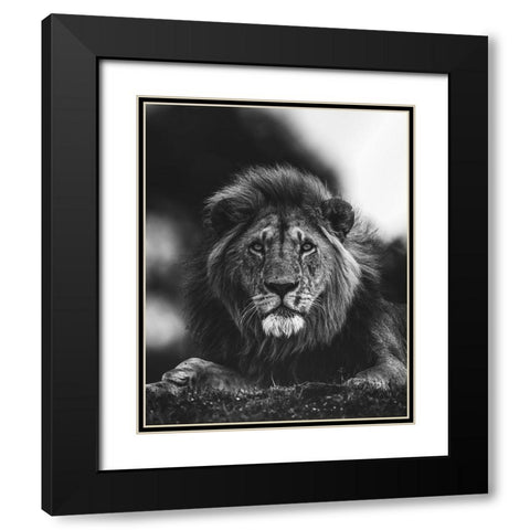 Ready Black Modern Wood Framed Art Print with Double Matting by Sobhi, Ahmed