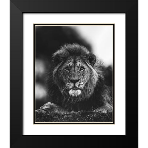 Ready Black Modern Wood Framed Art Print with Double Matting by Sobhi, Ahmed