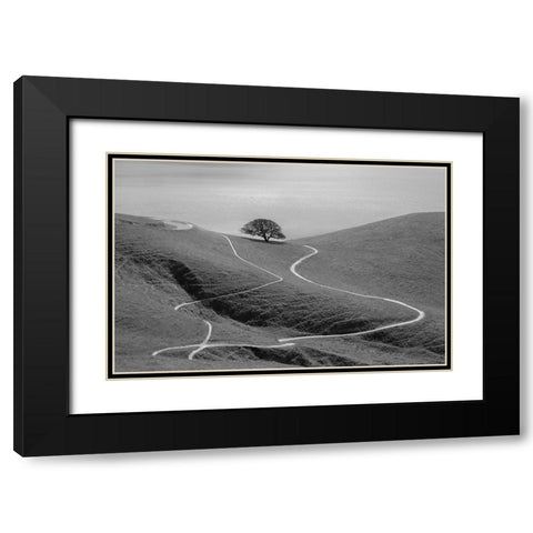 Lonely Tree Black Modern Wood Framed Art Print with Double Matting by Mao, Yun