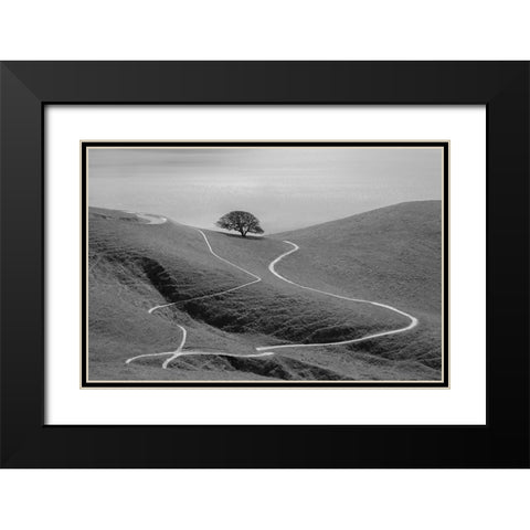 Lonely Tree Black Modern Wood Framed Art Print with Double Matting by Mao, Yun