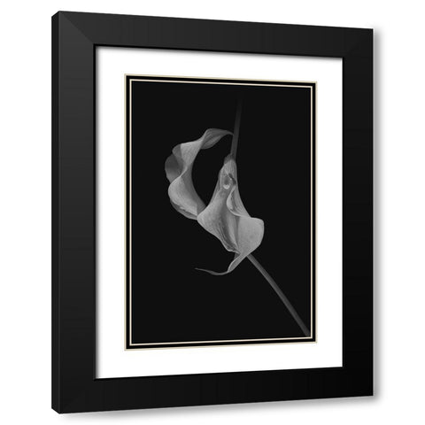 Close Talk Black Modern Wood Framed Art Print with Double Matting by Jacobs, Lydia