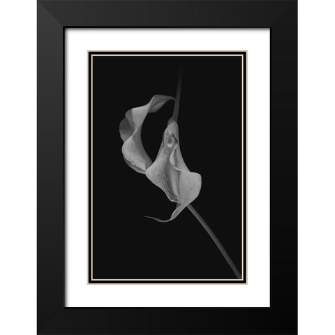 Close Talk Black Modern Wood Framed Art Print with Double Matting by Jacobs, Lydia