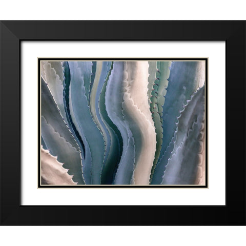 Sonoma Summertime Roadside Abstract Black Modern Wood Framed Art Print with Double Matting by Wechsler, Robin
