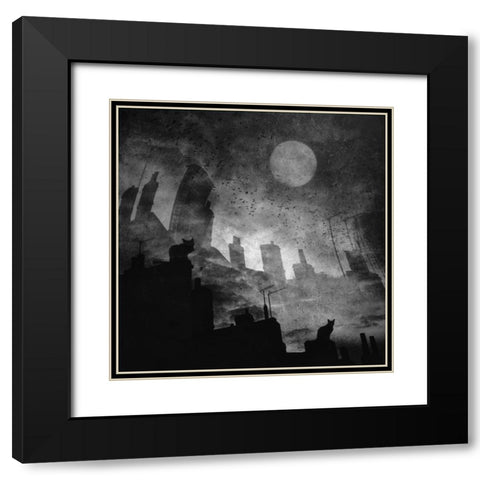 Black A White Cat Day... Black Modern Wood Framed Art Print with Double Matting by Fabrowski, Robert