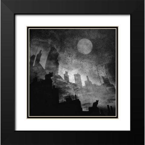 Black A White Cat Day... Black Modern Wood Framed Art Print with Double Matting by Fabrowski, Robert