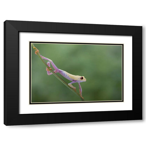 Morning Stretch Black Modern Wood Framed Art Print with Double Matting by Wolbers, Louise