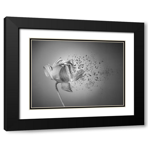 Flower Black Modern Wood Framed Art Print with Double Matting by Lin, Lin