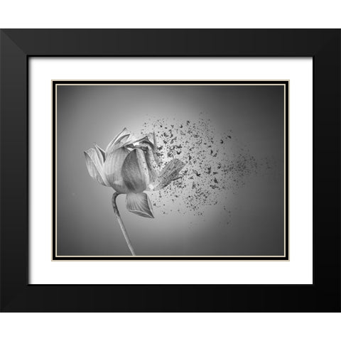 Flower Black Modern Wood Framed Art Print with Double Matting by Lin, Lin