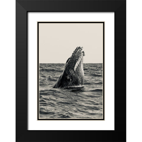Secret Of Whale Black Modern Wood Framed Art Print with Double Matting by Melesan, Serge
