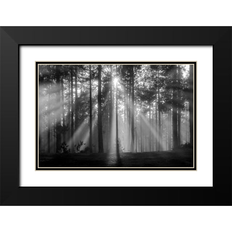 Light In The Snow Black Modern Wood Framed Art Print with Double Matting by Alviani, Montserrat