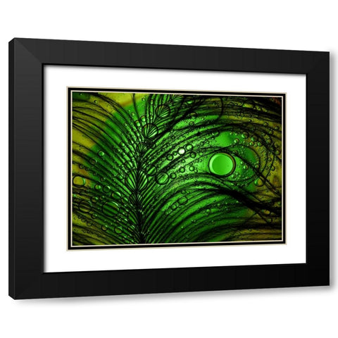 Feather Abstract Black Modern Wood Framed Art Print with Double Matting by Lesica, Ivan