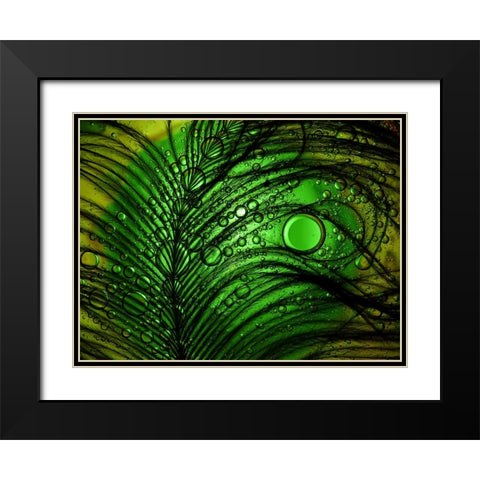 Feather Abstract Black Modern Wood Framed Art Print with Double Matting by Lesica, Ivan