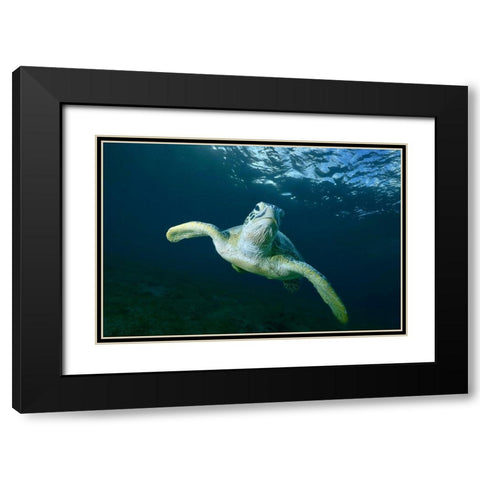 Airplane Black Modern Wood Framed Art Print with Double Matting by Melesan, Serge