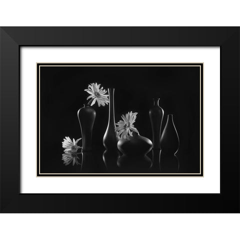 Daisy Melody Black Modern Wood Framed Art Print with Double Matting by Jacobs, Lydia