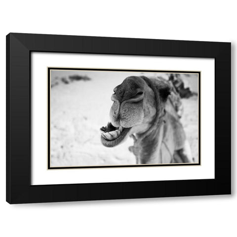 dromedary Black Modern Wood Framed Art Print with Double Matting by Borges Alves, Luis