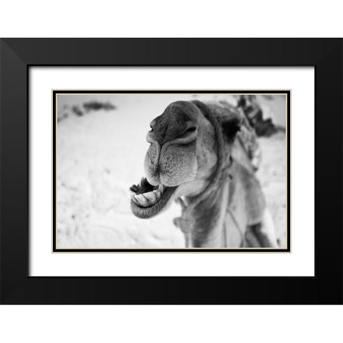dromedary Black Modern Wood Framed Art Print with Double Matting by Borges Alves, Luis