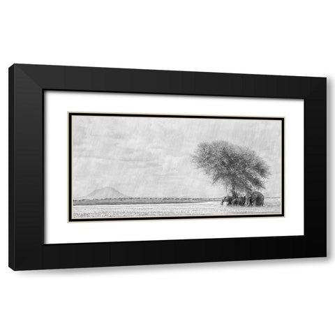 African Landscape Black Modern Wood Framed Art Print with Double Matting by Henley, Nadine
