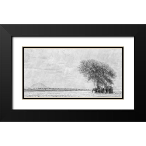 African Landscape Black Modern Wood Framed Art Print with Double Matting by Henley, Nadine