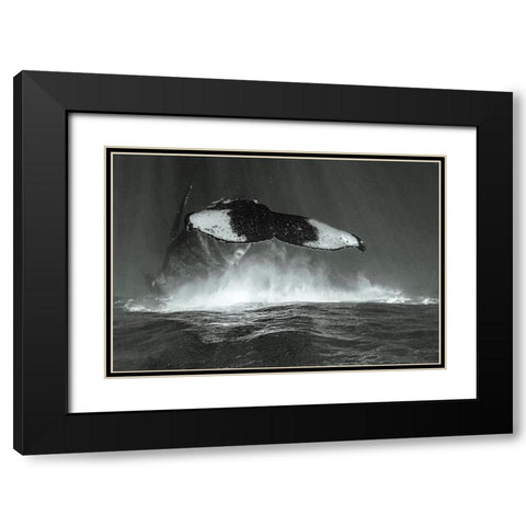 Tale Of Whales Black Modern Wood Framed Art Print with Double Matting by Melesan, Serge