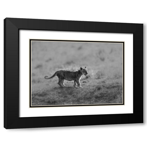 MORNING CAT Black Modern Wood Framed Art Print with Double Matting by Marx, Jaco