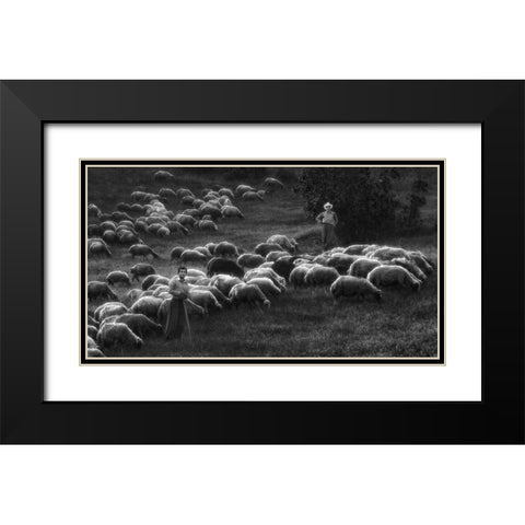 Bergers Black Modern Wood Framed Art Print with Double Matting by Arabzadeh, Abbas