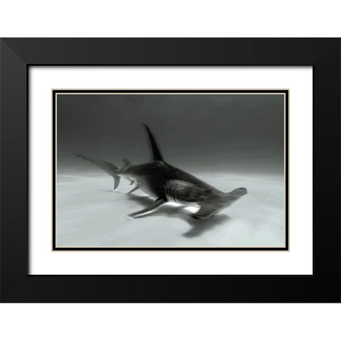 Great Hammerhead Black Modern Wood Framed Art Print with Double Matting by Melesan, Serge