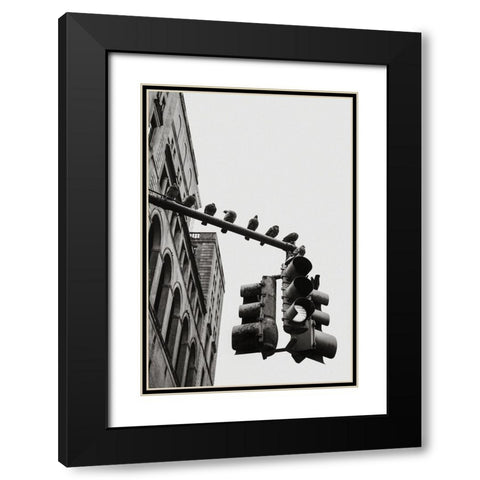 New York City Doves Black Modern Wood Framed Art Print with Double Matting by Martin, Rikard