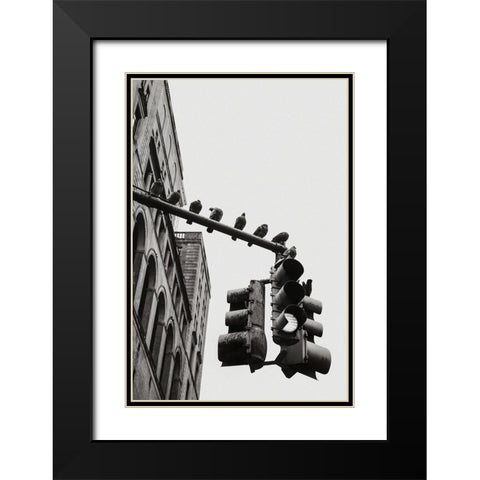 New York City Doves Black Modern Wood Framed Art Print with Double Matting by Martin, Rikard