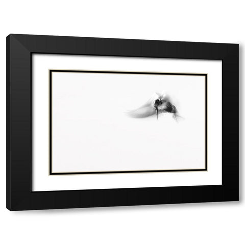 In...M O T I O N Black Modern Wood Framed Art Print with Double Matting by Elkahlawi, Ahmed