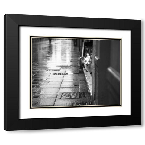 Rain Black Modern Wood Framed Art Print with Double Matting by Alviani, Montserrat