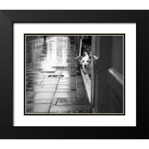 Rain Black Modern Wood Framed Art Print with Double Matting by Alviani, Montserrat