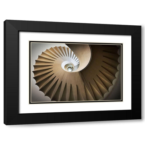 Looking Up Black Modern Wood Framed Art Print with Double Matting by Reichert, Renate