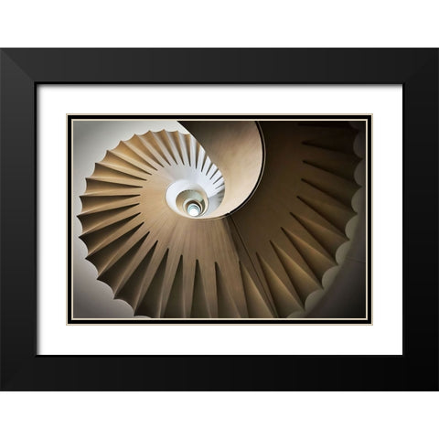 Looking Up Black Modern Wood Framed Art Print with Double Matting by Reichert, Renate