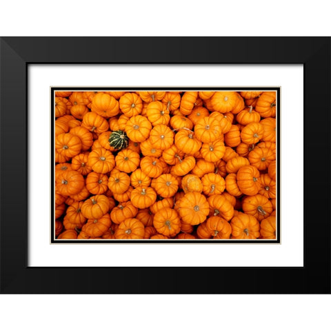 Dare to be Different Black Modern Wood Framed Art Print with Double Matting by Ungvari, Rose