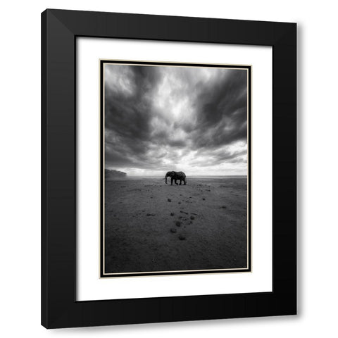 Amboseli Black Modern Wood Framed Art Print with Double Matting by Swapnil