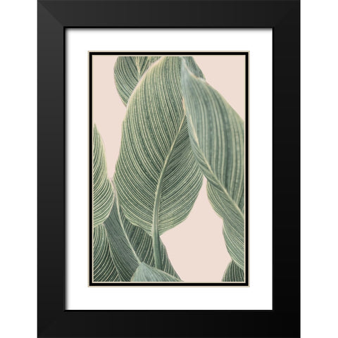 Calla Leaf Black Modern Wood Framed Art Print with Double Matting by Pienaar, Kathrin