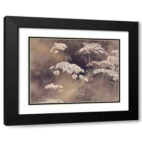 Wild Parsley Black Modern Wood Framed Art Print with Double Matting by Pienaar, Kathrin
