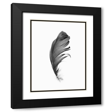 Feather Black Modern Wood Framed Art Print with Double Matting by Pienaar, Kathrin