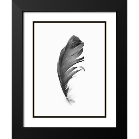Feather Black Modern Wood Framed Art Print with Double Matting by Pienaar, Kathrin