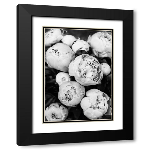 Peonies Black Modern Wood Framed Art Print with Double Matting by Pienaar, Kathrin