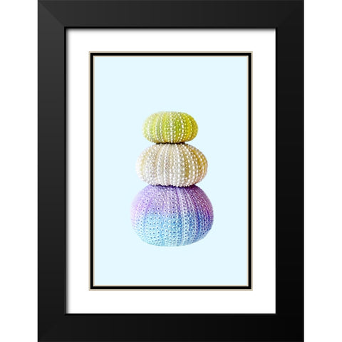 Sea Urchins Black Modern Wood Framed Art Print with Double Matting by Pienaar, Kathrin
