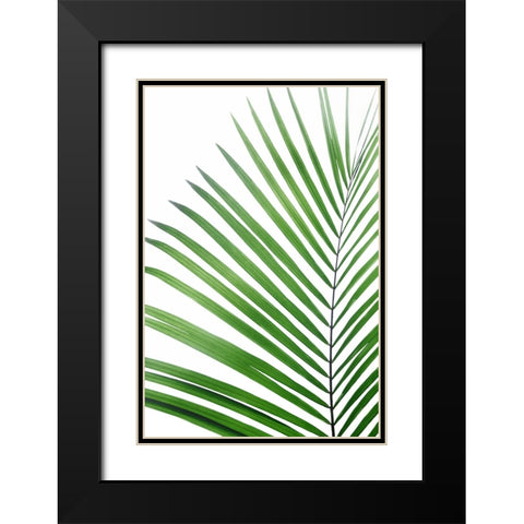 Green Palm Leaf Black Modern Wood Framed Art Print with Double Matting by Pienaar, Kathrin