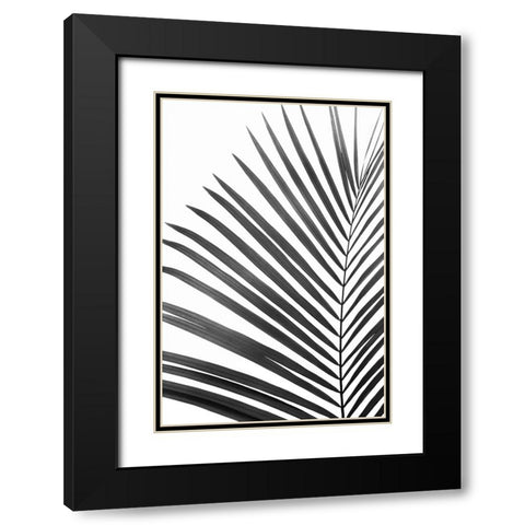BW Palm Leaf Black Modern Wood Framed Art Print with Double Matting by Pienaar, Kathrin